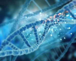 dna image web