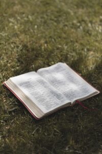 A close-up of an open Bible resting on a sunlit grass field, offering a serene outdoor setting.