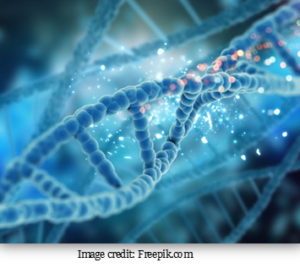 image7 dna