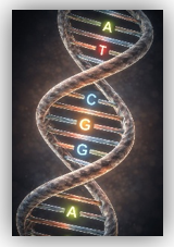 image8 dna cgg